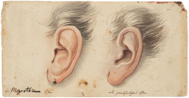 モーツァルトの耳 死因 コンスタンツェ